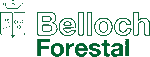 BELLOCH Forestal